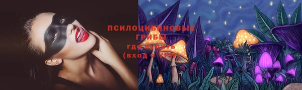 PSILOCYBIN Ладушкин