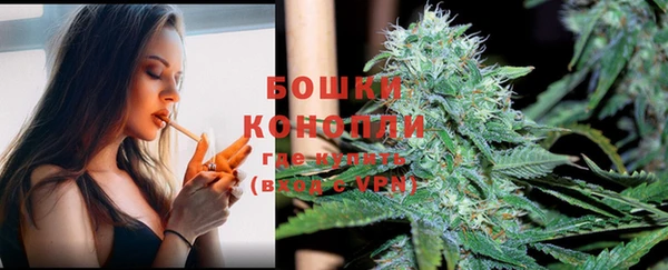 PSILOCYBIN Ладушкин