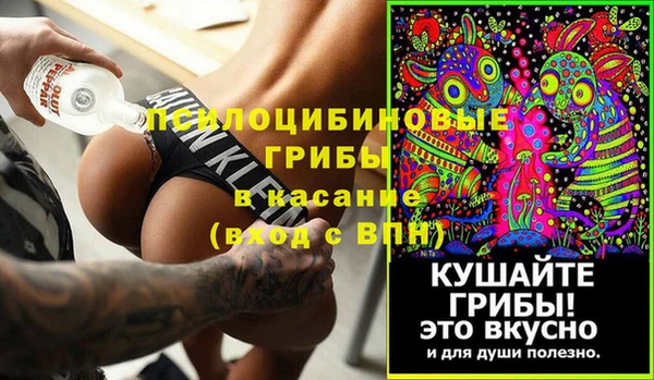 гашик Лиски