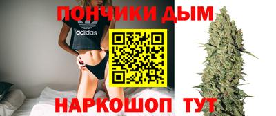 шишки Белореченск