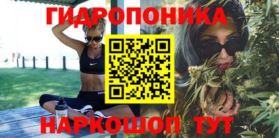 трава Бердск