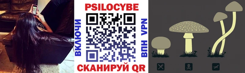 Псилоцибиновые грибы мицелий  Усть-Кут 