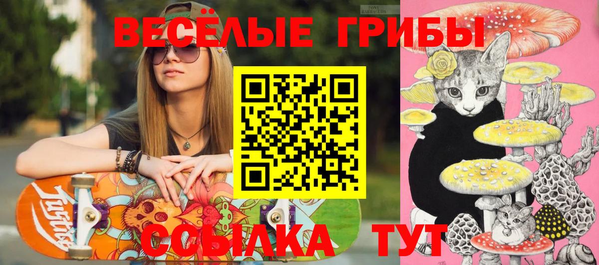 Галлюциногенные грибы Cubensis Усть-Кут