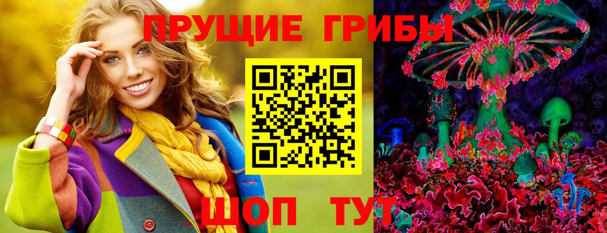 Усть-Кут  Галлюциногенные грибы Cubensis  Вход с VPN 
